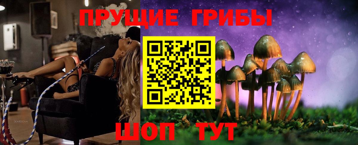 Псилоцибиновые грибы GOLDEN TEACHER  Псилоцибиновые грибы ЛСД  Вход с VPN  магазин продажи наркотиков  Богородск 
