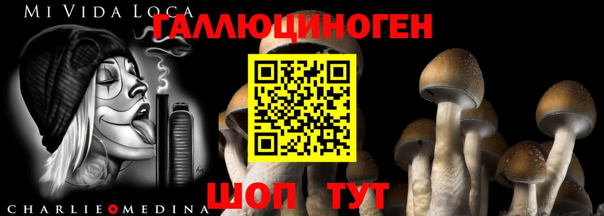 Галлюциногенные грибы ЛСД Богородск